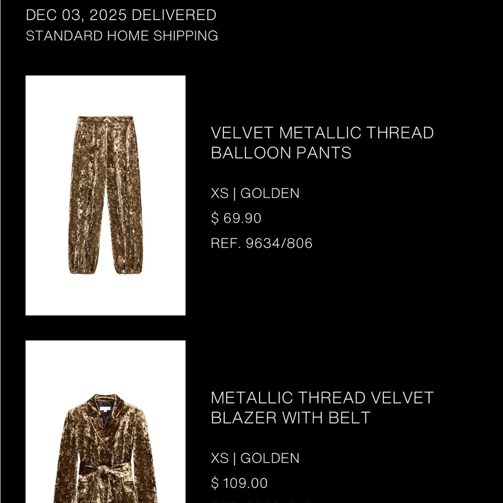 BNWT Full Set Zara Velvet Blazer and Balloon Pant (Size XS) - Picture 5 of 5